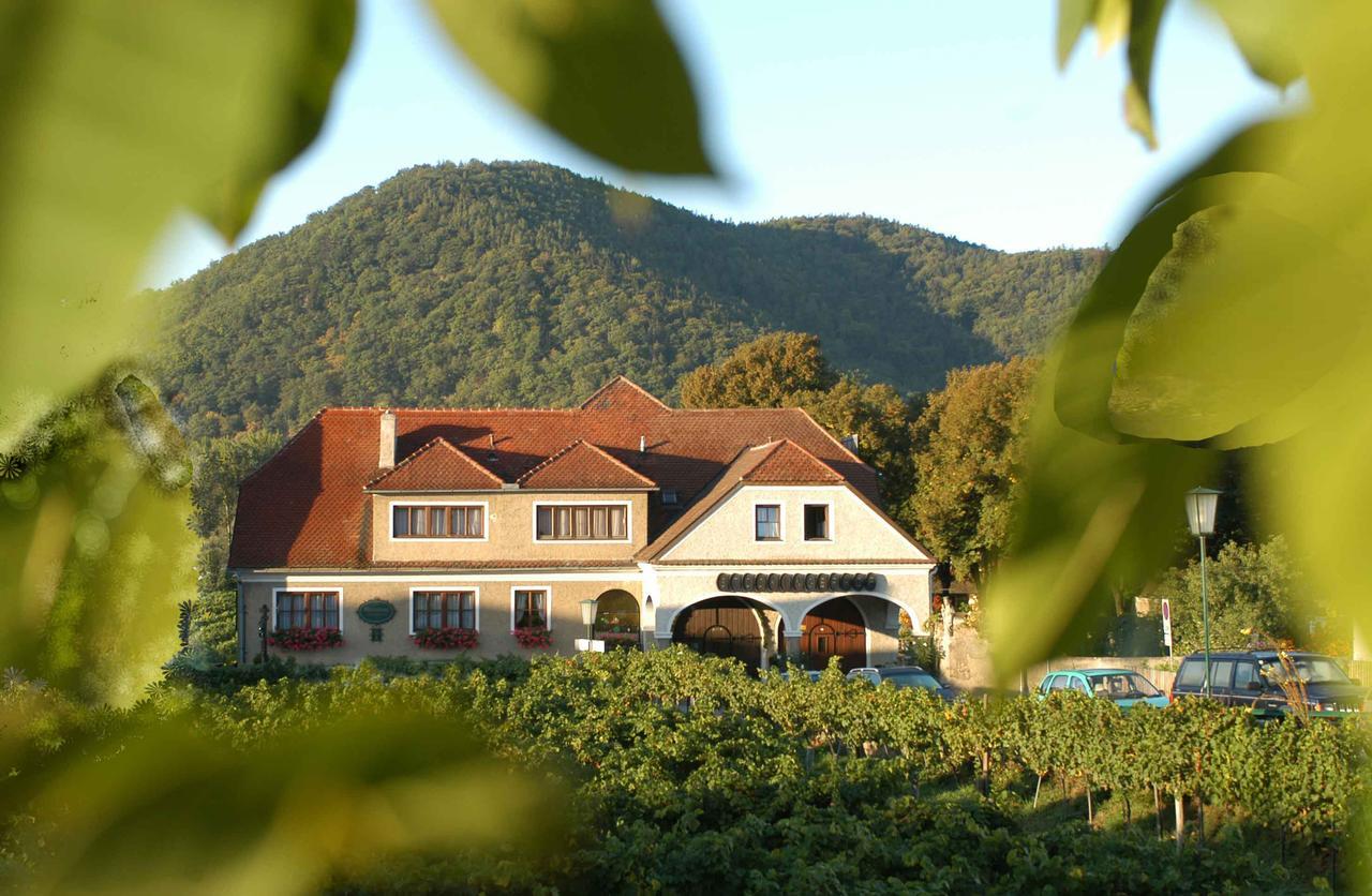 Weingut-Pension Stockingerhof 던스테인 외부 사진